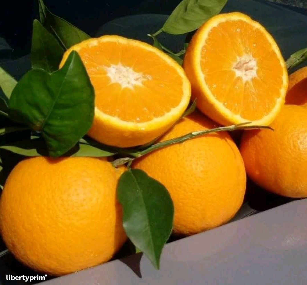 how to know your number orange maroc