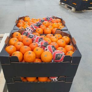 Orange Maroc-late