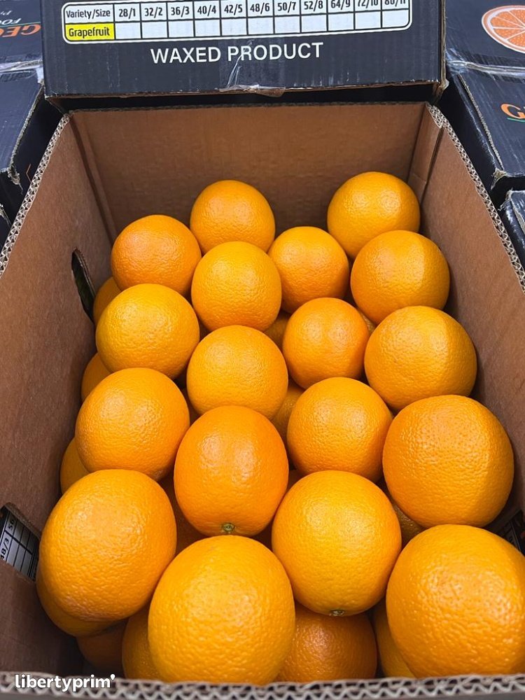 Orange Valencia Class 1 Egypt Import & Export - GEO EXPORTING | Libertyprim