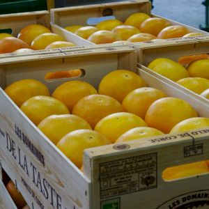 Grapefruit 