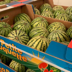Watermelon 