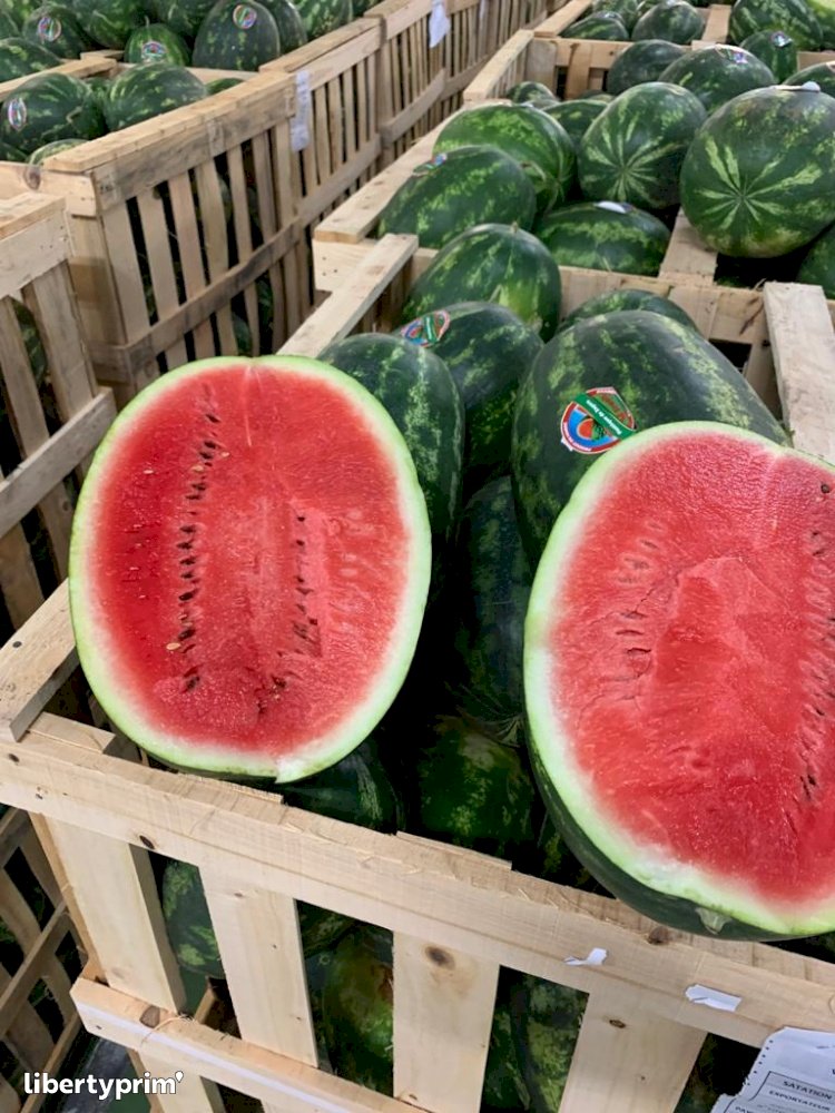 Watermelon Zagora Extra Morocco Conventional Grower - Fontestad | Libertyprim