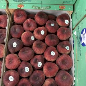 Peach Flat