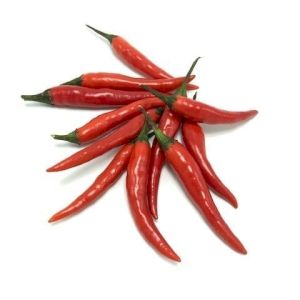 Chile Pepper 