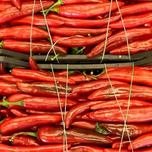 Chile Pepper Red