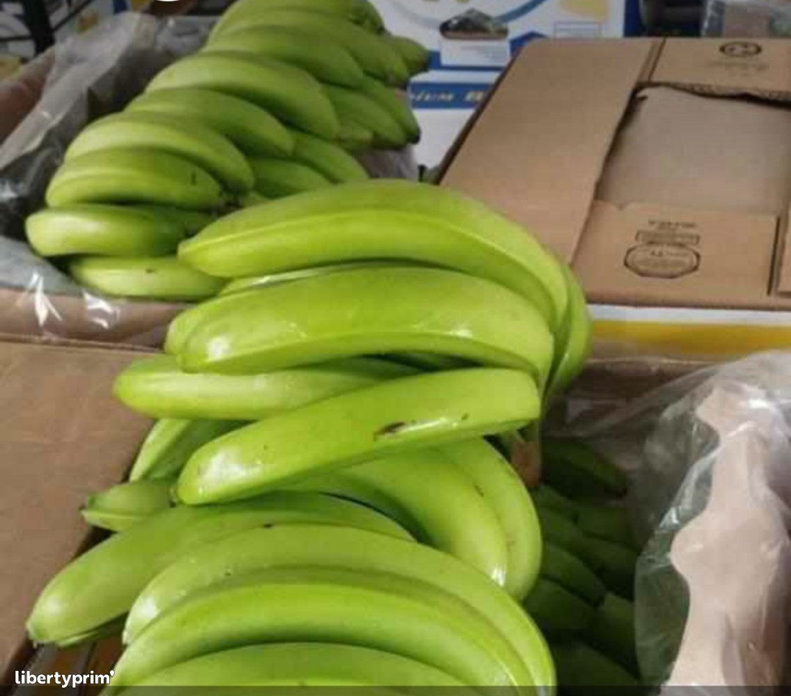 Banana Cavendish Ecuador Import & Export Solen Energia Solar Sl