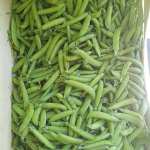 Chícharos 