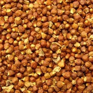 Pepper 