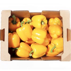 Peperone Giallo