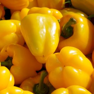 Pepper Yellow