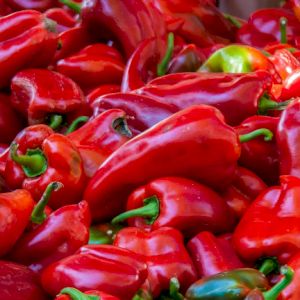 Pepper Red