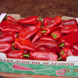 Peperone Rosso