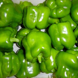 Pepper Green