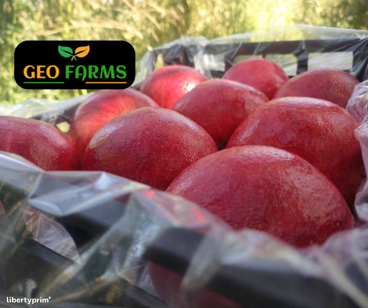 Pomegranate Wonderful Class 1 Egypt Import & Export - GEO EXPORTING | Libertyprim