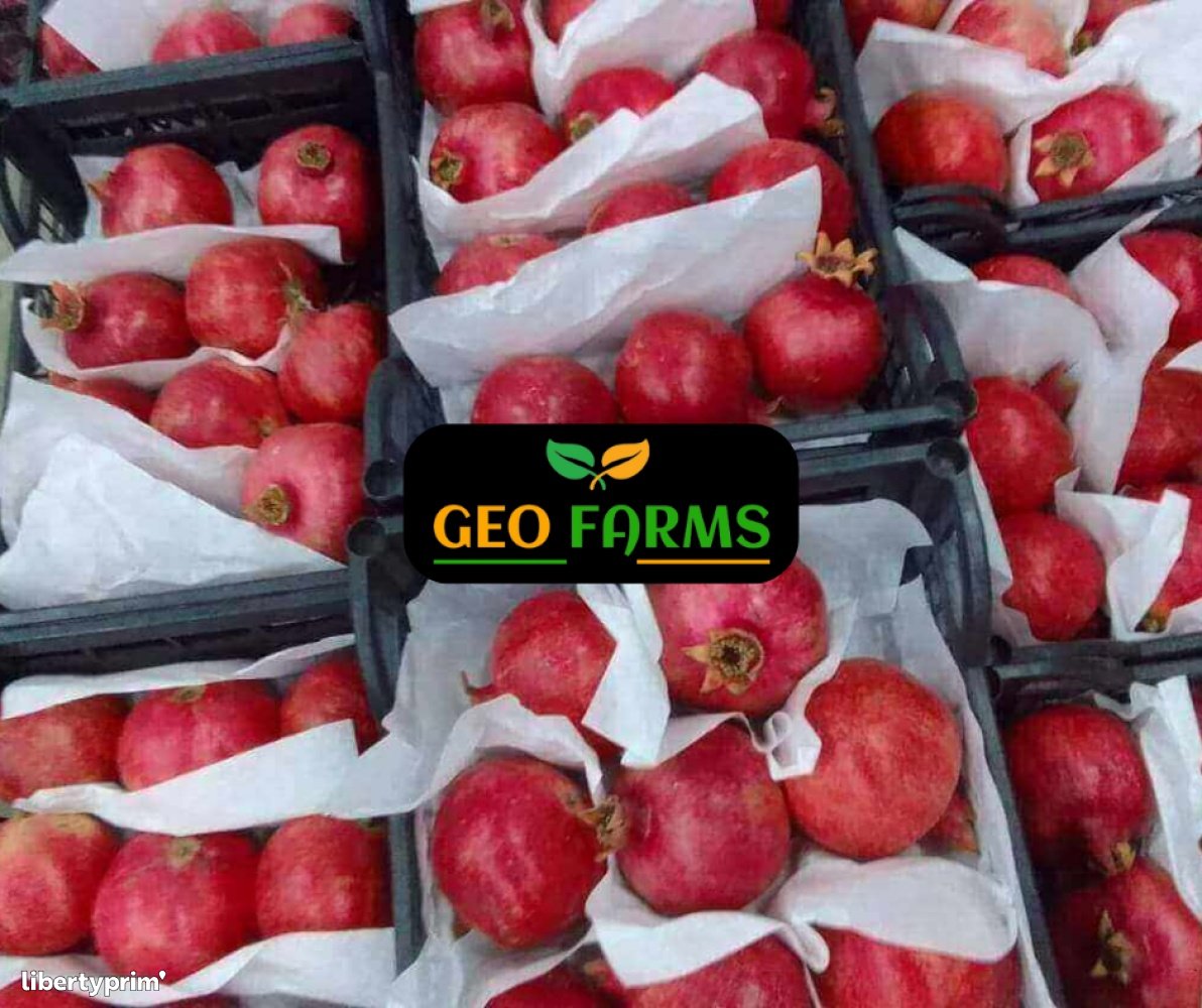 Pomegranate Wonderful Class 1 Egypt Import & Export - GEO EXPORTING | Libertyprim