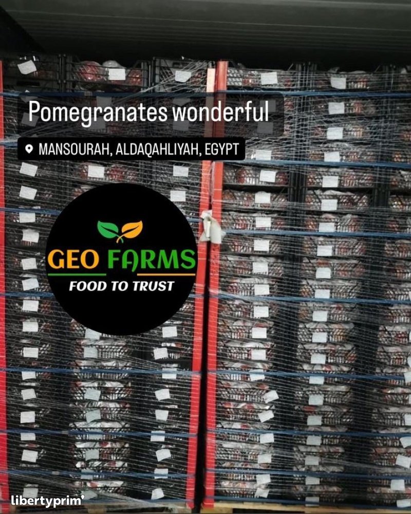 Pomegranate Wonderful Class 1 Egypt Import & Export - GEO EXPORTING | Libertyprim