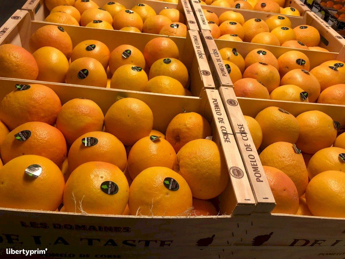 Pomelo Class 1 France Conventional Grower - Peruzzo | Libertyprim