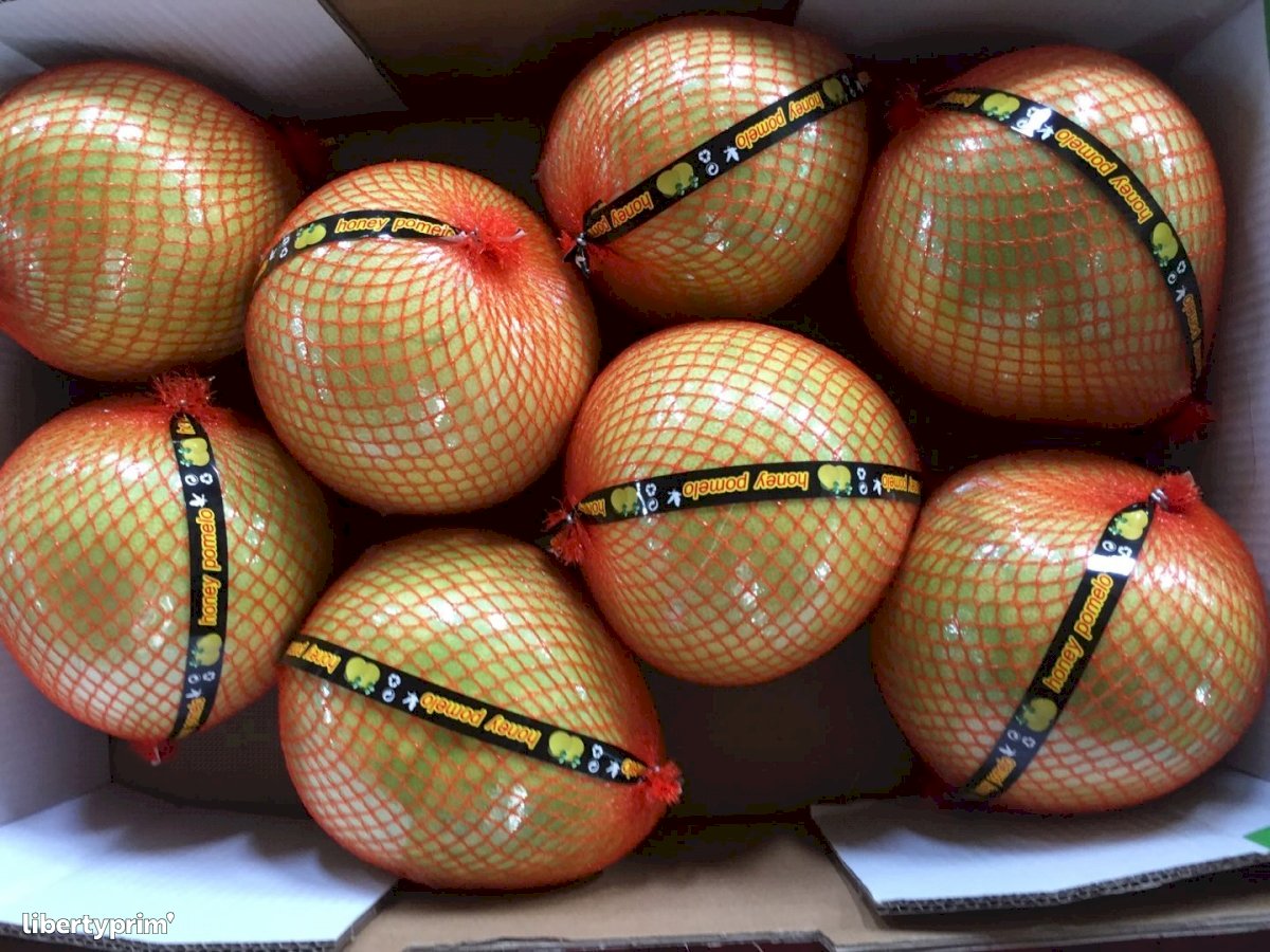 Pomelo Class 1 China Conventional Grower - sinoorchard | Libertyprim