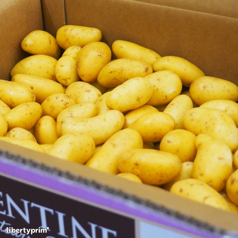 Combien De Pomme De Terre Pour 300g