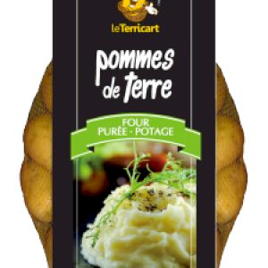 Potato 