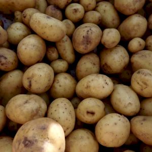 Potato Monalisa