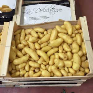 Potato New Crop