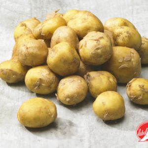 Potato Sirtema