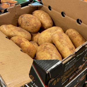 Potato Spunta