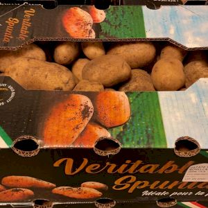 Potato Spunta