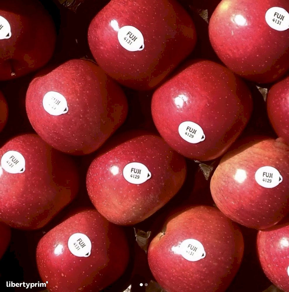 Apple Fuji France Producer THOMAS LE PRINCE Libertyprim