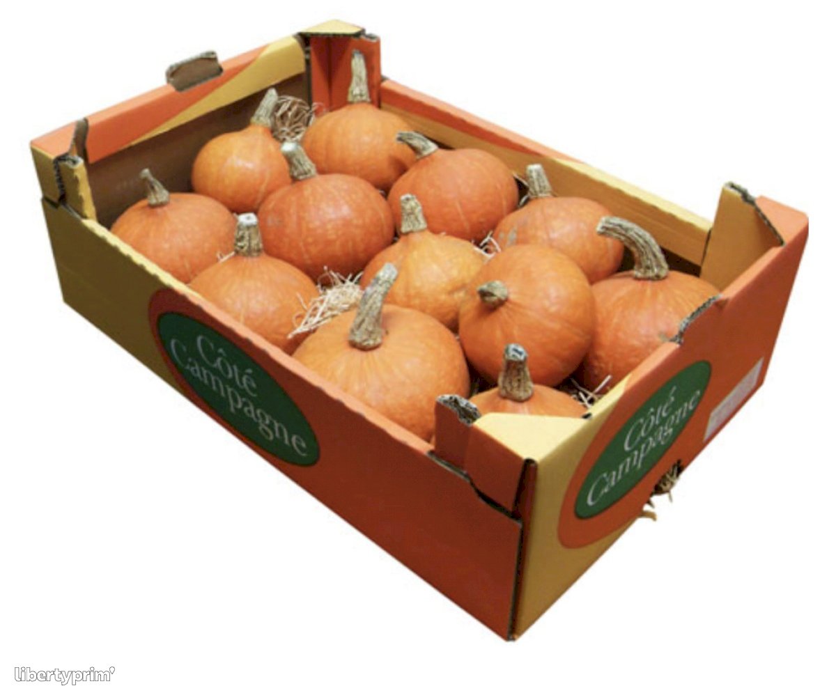 Red Kuri Squash Class 1 France Shipper - CONDIFRANCE | Libertyprim