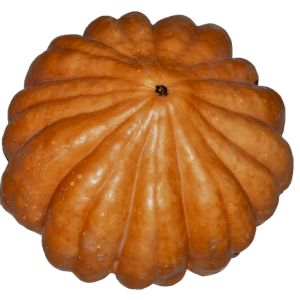 Gourd 