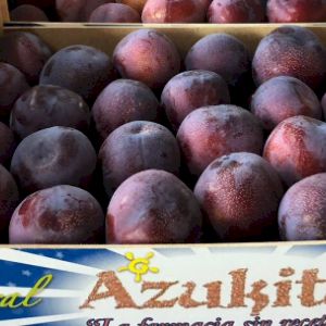 Plum 