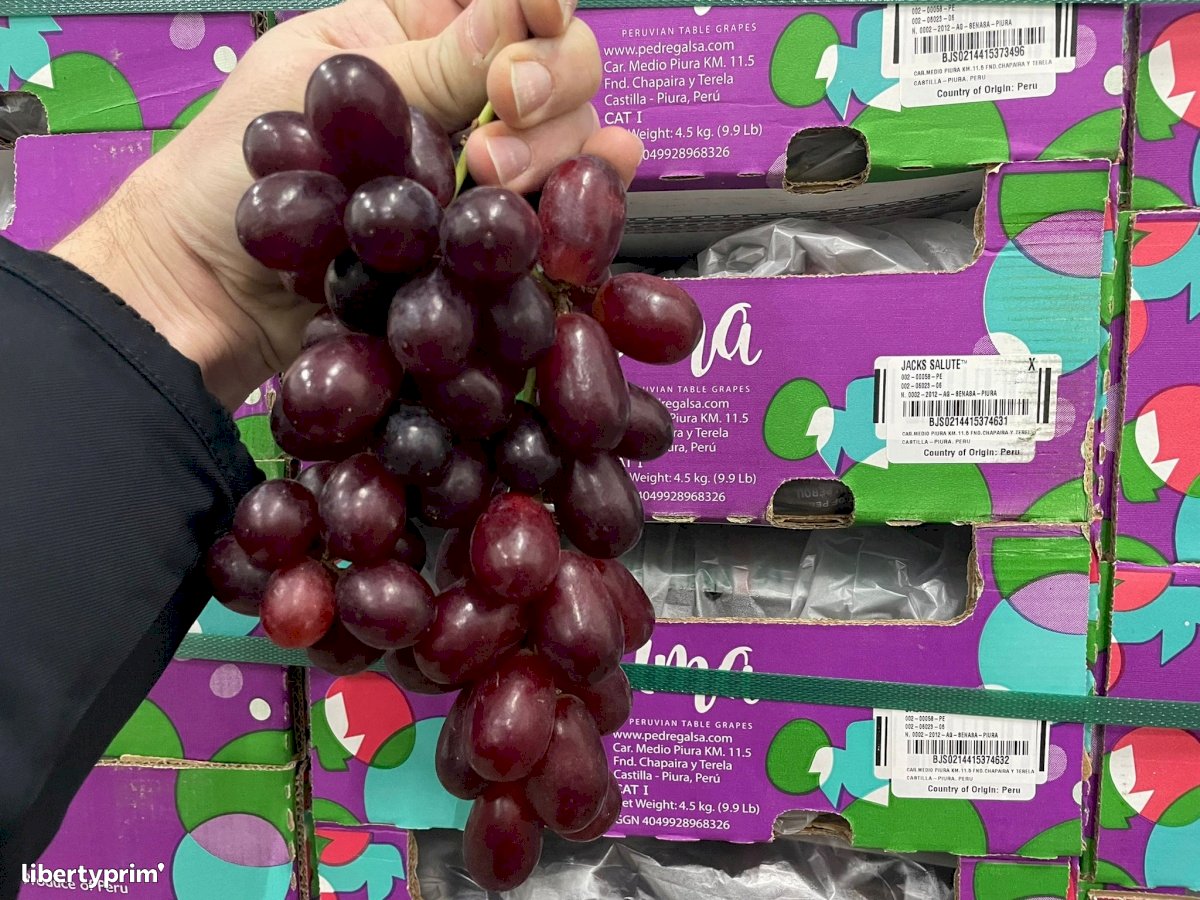 Grapes Class 1 Peru Importer - INDIANA IMPORT | Libertyprim