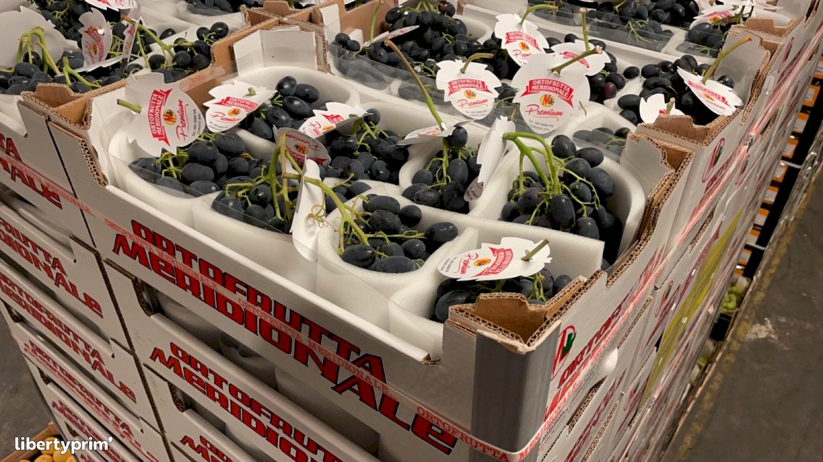Grapes Black Magic Extra Italy Conventional Grower - Peruzzo | Libertyprim