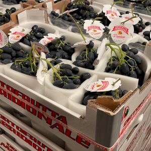 Grapes Black Magic