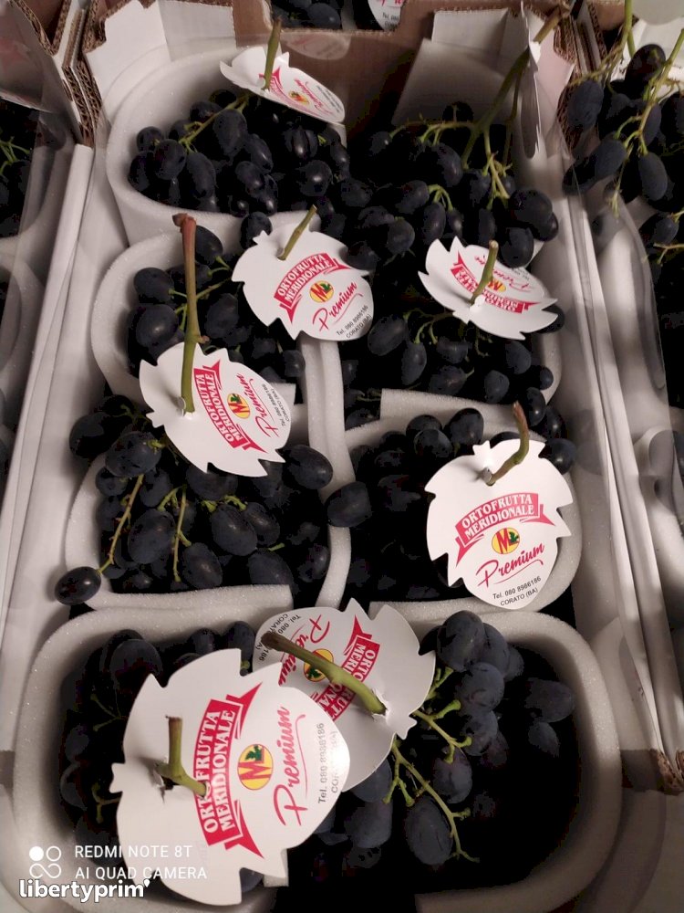 Grapes Black Magic Extra Italy Conventional Grower - Peruzzo | Libertyprim