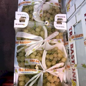 Grapes Italia