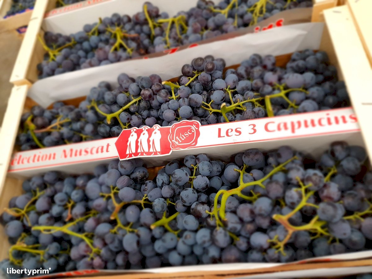 Grapes Muscat Class 1 France Wholesaler - PRIMEURS DU SUD EST | Libertyprim