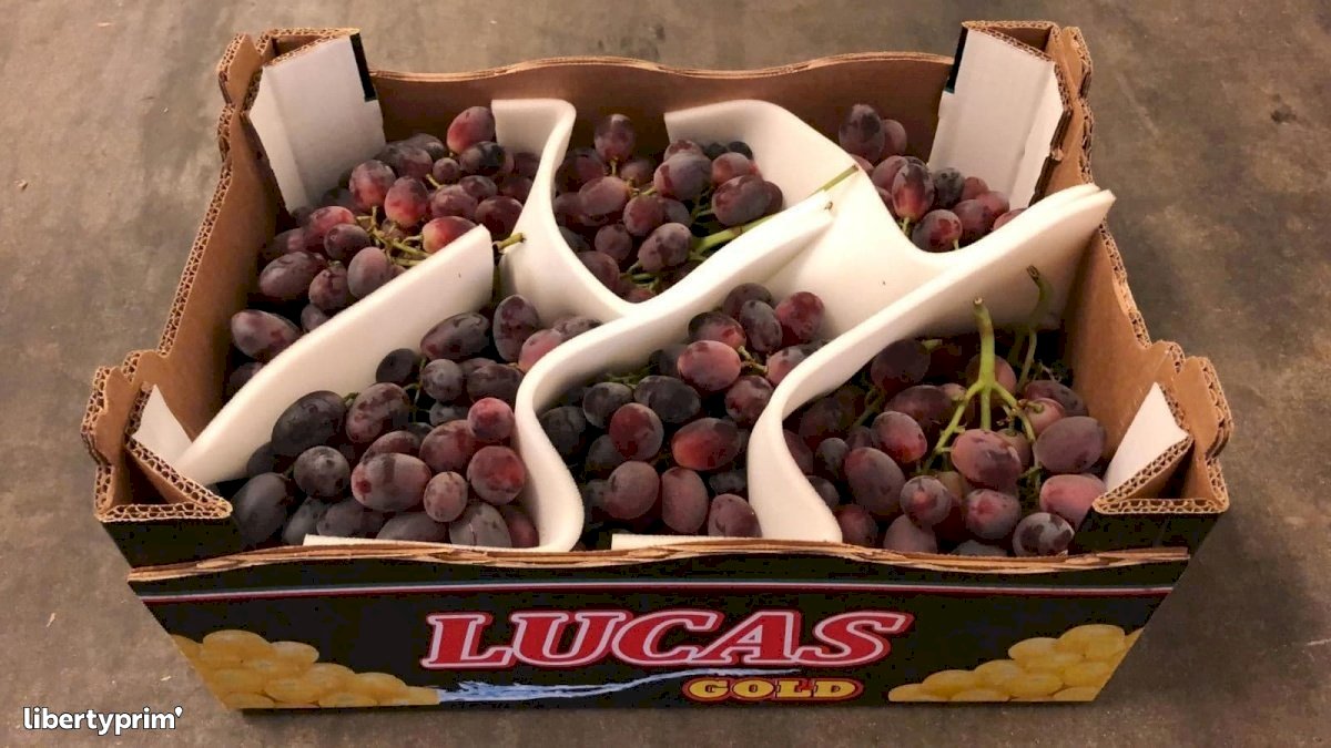 Grapes Red Globe Italy Conventional Grower - Peruzzo | Libertyprim