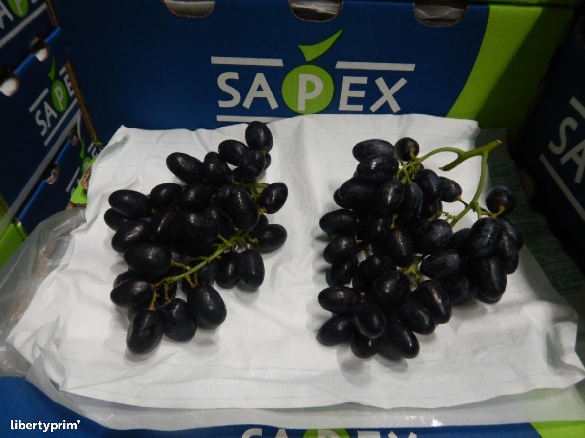 Grapes Sweet Joy® Class 1 South Africa Import & Export - TERRAGAÏA | Libertyprim