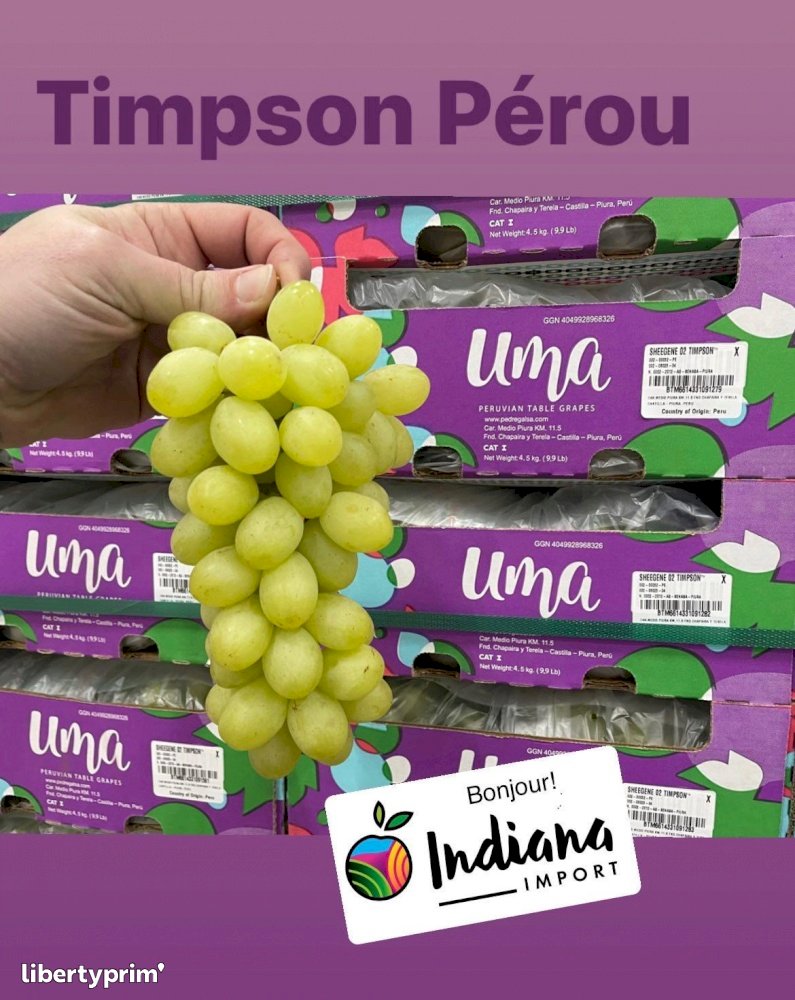 Grapes Timpson® Class 1 Peru Importer - INDIANA IMPORT | Libertyprim