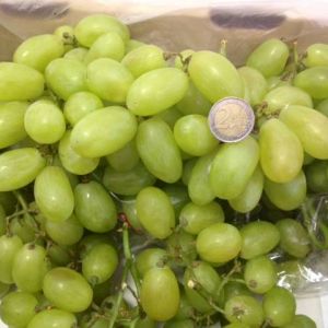 Grapes Vittoria