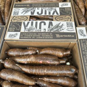 Banana Wholesaler - Grupo Plátanos López | Libertyprim