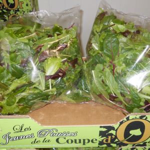 Salad Mixed 