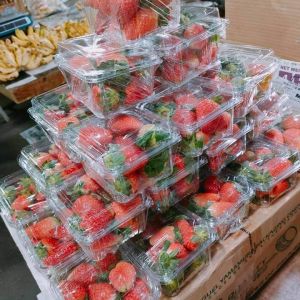 Strawberry Tree Fruit 