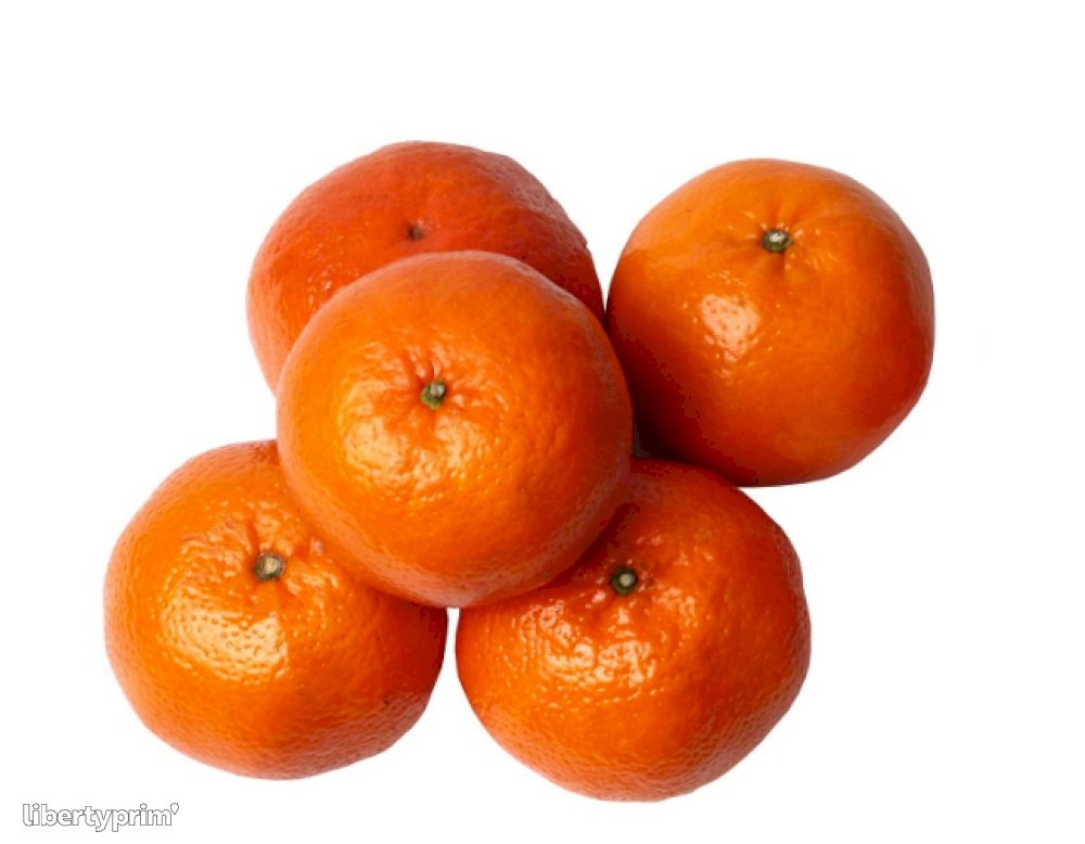 Tangerine - Lexicon Branding