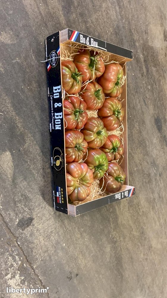 Tomato Class 1 France Conventional Grower - Peruzzo | Libertyprim