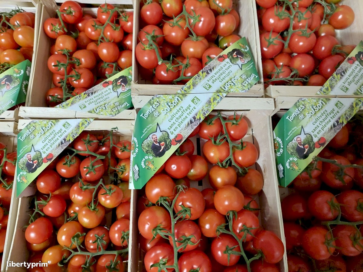 Tomate Catégorie 2 France Producteur Bio - Ty coz | Libertyprim