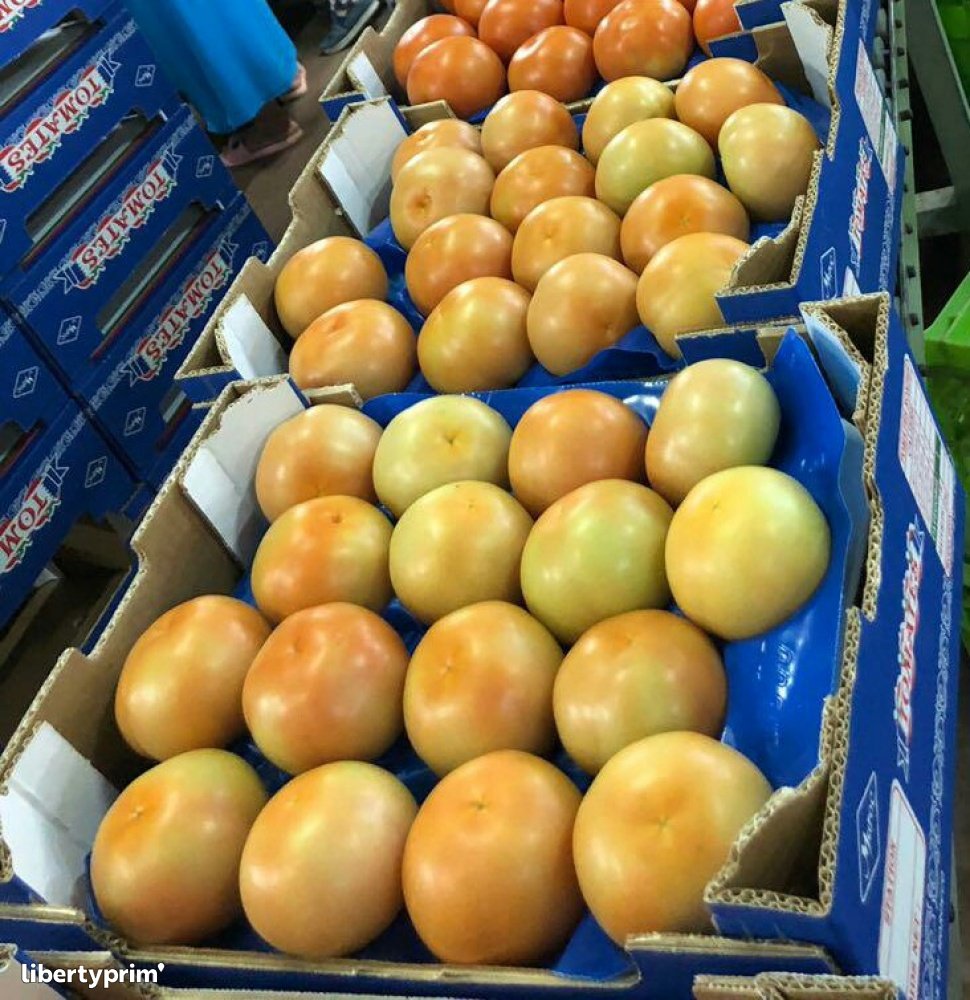 Tomato Import & Export - MA.STAND | Libertyprim
